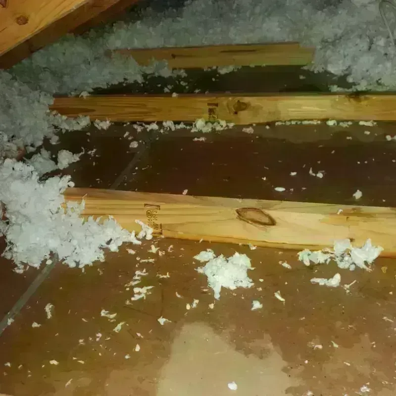 Attic Water Damage in Crawfordville, FL